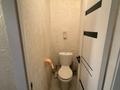 3-комнатная квартира · 72 м² · 2/2 этаж, Кунаева 79 6 — На против Дом Культуры за 29.5 млн ₸ в Иргели — фото 21