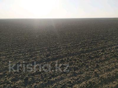 Действующее зерновое хозяйство в СКО за ~ 5.9 млрд 〒 в Петропавловске