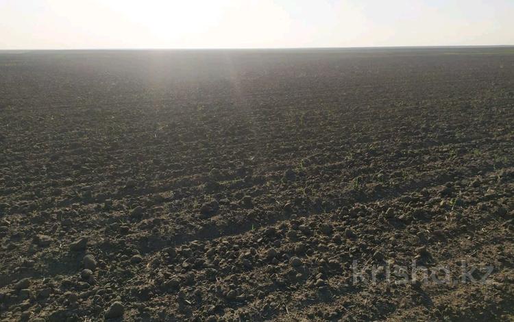 Сельское хозяйство • 60000 м² за ~ 5.9 млрд 〒 в Петропавловске — фото 2