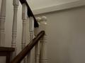 Жеке үй · 5 бөлме · 160 м² · 2.8 жүзд., Курмангазы 29, бағасы: 39.9 млн ₸ в Уральске — фото 15