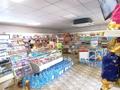 Магазины и бутики • 207.4 м² за 75 млн 〒 в Кояндах — фото 8