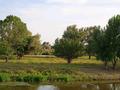 Отдельный дом · 3 комнаты · 120 м² · 12 сот., Сафоновка за 3 млн ₸ в Курмангазы (Ганюшкино) — фото 4
