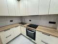 2-комнатная квартира · 56 м² · 8/20 этаж, Туркестан 4Б за 380 000 ₸ в Астане, Есильский р-н — фото 4