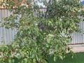 Отдельный дом · 5 комнат · 203.4 м² · 10 сот., мкр Сарыкамыс, Жарык 11 за 42.5 млн ₸ в Атырау — фото 16