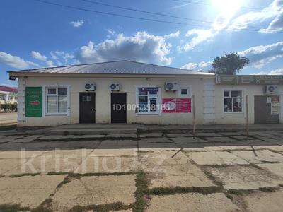 Кеңселер, дүкендер мен бутиктер, сұлулық салондары · 500 м², бағасы: 150 млн 〒 в Чапаеве