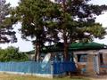 Жеке үй · 4 бөлме · 80 м² · 10 жүзд., С Луговое 14, бағасы: 2.3 млн ₸ в Явленке — фото 5