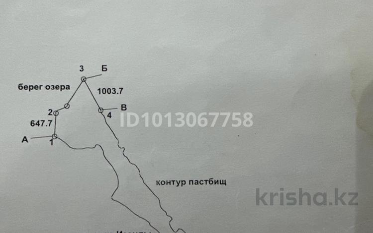 Участок · 613 га, Баканас за 14.5 млн ₸ — фото 2