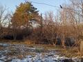 Жеке үй · 3 бөлме · 45 м² · 30 сот., Подгорная 87, бағасы: 25.5 млн ₸ в Усть-Каменогорске — фото 5