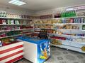 Магазины и бутики · 45 м² за 70 000 ₸ в Тасбогете — фото 6