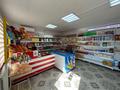 Магазины и бутики · 45 м² за 70 000 ₸ в Тасбогете — фото 7