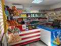 Магазины и бутики · 45 м² за 70 000 ₸ в Тасбогете — фото 8