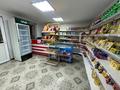 Магазины и бутики · 45 м² за 70 000 ₸ в Тасбогете — фото 9