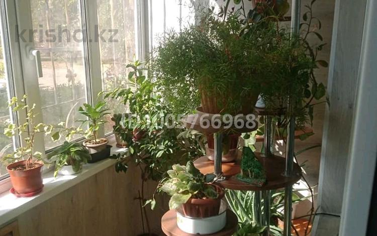3-комнатная квартира · 62.48 м² · 1/5 этаж, Мкр Мынбулак (9) 14 за 23 млн ₸ в Таразе — фото 2