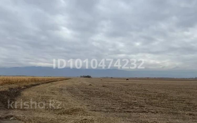 Участок · 1.6 га, Гульдала за 79 млн ₸ — фото 4
