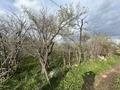 Участок · 6 соток, п. Шиен, Женис 133 за 1 млн ₸ в Узынагаш