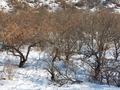 Участок · 30 соток, Малкеева за 25 млн 〒 в Есик — фото 12