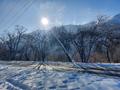 Участок · 30 соток, Малкеева за 25 млн 〒 в Есик — фото 15