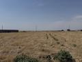 Участок · 48 соток, мкр Кызылжар за 75 млн ₸ в Шымкенте, Абайский р-н
