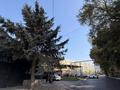 Қоғамдық тамақтану орны · 120 м², бағасы: 250 млн ₸ в Алматы, Бостандыкский р-н — фото 30