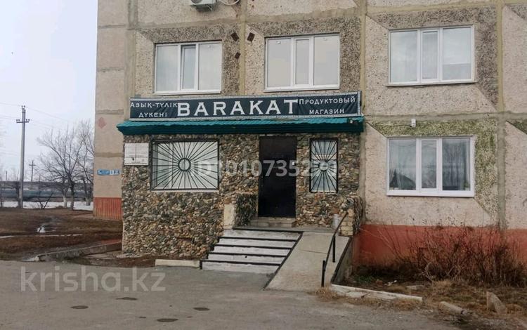 Еркін, дүкендер мен бутиктер · 87 м², бағасы: 11.5 млн ₸ в Житикаре — фото 3