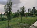 Отдельный дом · 7 комнат · 180 м² · 100 сот., Аңырақай — Достық көшесімен қиылысы за 33 млн ₸ в Самсы — фото 12