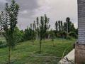 Отдельный дом · 7 комнат · 180 м² · 100 сот., Аңырақай — Достық көшесімен қиылысы за 33 млн ₸ в Самсы — фото 9