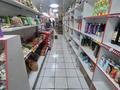 Дом и два магазина продукты ,хозяйственный · 325 м² за 69 млн ₸ в Семее — фото 13
