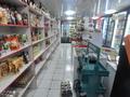 Дом и два магазина продукты ,хозяйственный · 325 м² за 69 млн ₸ в Семее — фото 8