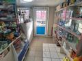 Дом и два магазина продукты ,хозяйственный · 325 м² за 69 млн ₸ в Семее — фото 2