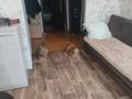 3-бөлмелі пәтер · 65 м² · 5/5 қабат, 5 микрорайон 4, бағасы: 16 млн ₸ в Риддере — фото 22