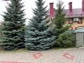 Отдельный дом · 6 комнат · 384.2 м² · 12.5 сот., 6 микрорайон 1 за 230 млн ₸ в Костанае — фото 37