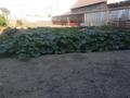 Жеке үй · 4 бөлме · 110 м² · 10 сот., Старый город 5/55 — Магазина Разия, бағасы: 16 млн ₸ в Актобе — фото 3