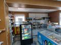 Магазины и бутики · 50 м² за 22 млн ₸ в Экибастузе — фото 10