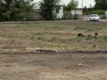 Свободное назначение, склады · 2200 м² за 150 млн ₸ в Павлодаре
