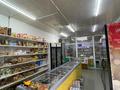 Офисы, магазины и бутики · 150 м² за 50 млн ₸ в Алматы, Турксибский р-н — фото 9