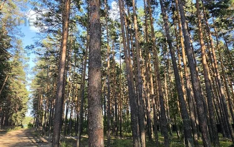 Участок · 20 соток, Молбазы за 13.5 млн ₸ в Бурабае — фото 2