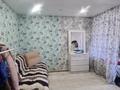 1-комнатная квартира · 30.1 м² · 2/5 этаж, Академика Сатпаева 17 за 12.4 млн ₸ в Павлодаре — фото 3