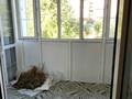 3-комнатная квартира · 70 м² · 2/2 этаж, Абылай хана 13 — Школа #3 за 20 млн ₸ в Текели — фото 4