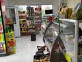 Магазины и бутики • 62 м² за 28 млн 〒 в Каскелене — фото 2