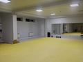 Еркін · 601.3 м², бағасы: 150 млн ₸ в Жанатурмысе — фото 24