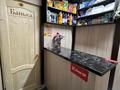 Отдельный дом · 4 комнаты · 160 м² · 13 сот., Канай Би 93 за 22 млн ₸ в Щучинске — фото 15