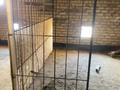 2-комнатная квартира · 58.1 м² · 7/9 этаж, Чокина 150/2 за 27.8 млн ₸ в Павлодаре — фото 10