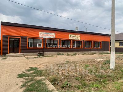Еркін · 400 м², бағасы: 65 млн ₸ в Алге