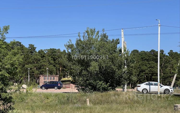 Жер телімі · 4 сотық, Пушкина 173, бағасы: 4.5 млн ₸ в Акколе — фото 2