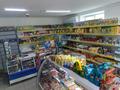 Свободное назначение, магазины и бутики · 104 м² за 50 млн ₸ в Усть-Каменогорске — фото 6