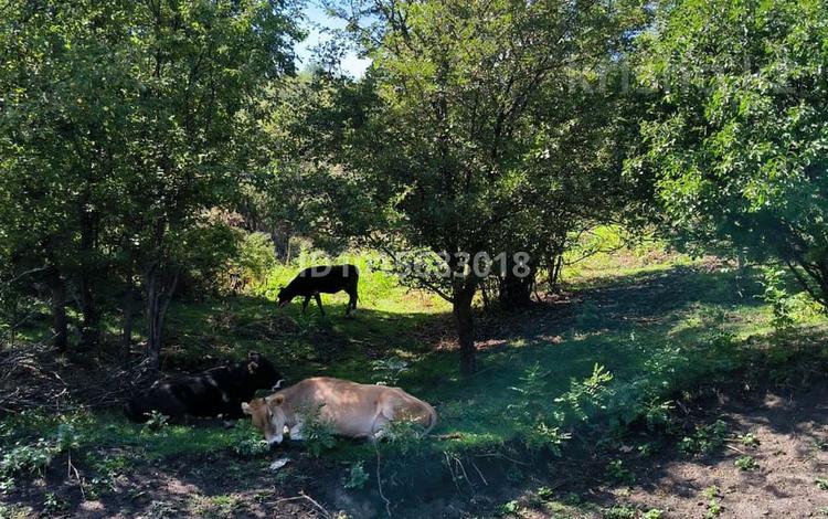 Участок · 149 соток, Ул.Тажиева за 71 млн ₸ в Алматы, Наурызбайский р-н — фото 2