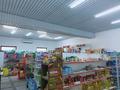 Магазины и бутики • 240 м² за 100 млн 〒 в Шымкенте, Каратауский р-н — фото 3
