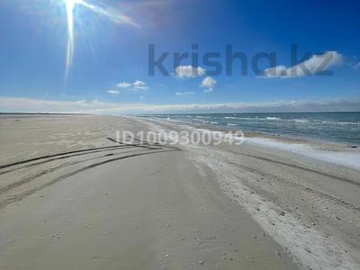 Участок · 5 га, Кызылкум 71/3 — Песчаный мыс за 50 млн 〒 в Батыре