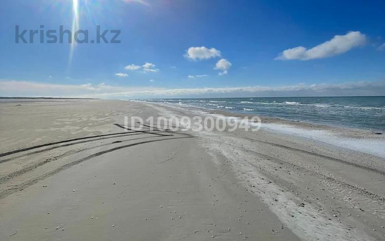 Участок · 5 га, Кызылкум 71/3 — Песчаный мыс за 70 млн 〒 в Батыре — фото 2