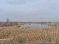 Участок · 6 соток, Северная 7 за 5 млн ₸ в Алматы, Турксибский р-н — фото 8